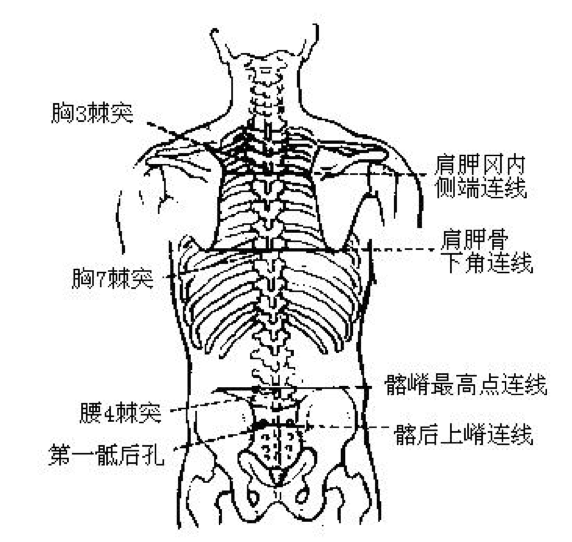 两侧髂后上棘连线(相当于第2骶骨水平)通过骶髂关节中心.